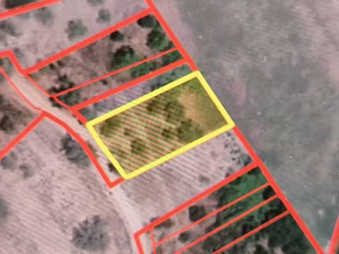 TERRENO RUSTICO COM 680 M2 - COM ARVORES - PLANO - JUNQUEIRA - CASTRO MARIM - ALGARVE