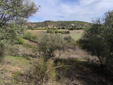 TERRENO RUSTICO COM 680 M2 - COM ARVORES - PLANO - JUNQUEIRA - CASTRO MARIM - ALGARVE