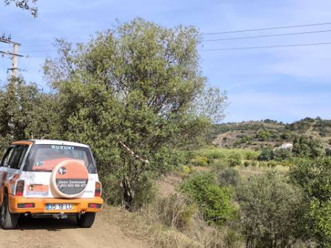 TERRENO RUSTICO COM 680 M2 - COM ARVORES - PLANO - JUNQUEIRA - CASTRO MARIM - ALGARVE