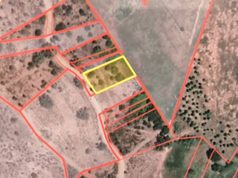 TERRENO RUSTICO COM 680 M2 - COM ARVORES - PLANO - JUNQUEIRA - CASTRO MARIM - ALGARVE