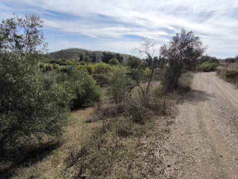 TERRENO RUSTICO COM 680 M2 - COM ARVORES - PLANO - JUNQUEIRA - CASTRO MARIM - ALGARVE
