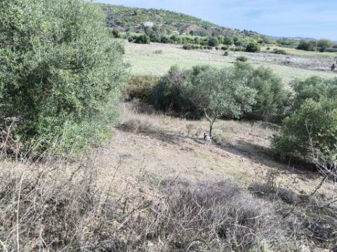 TERRENO RUSTICO COM 680 M2 - COM ARVORES - PLANO - JUNQUEIRA - CASTRO MARIM - ALGARVE