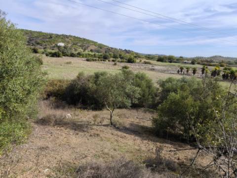 TERRENO RUSTICO COM 680 M2 - COM ARVORES - PLANO - JUNQUEIRA - CASTRO MARIM - ALGARVE