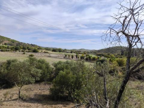 TERRENO RUSTICO COM 680 M2 - COM ARVORES - PLANO - JUNQUEIRA - CASTRO MARIM - ALGARVE
