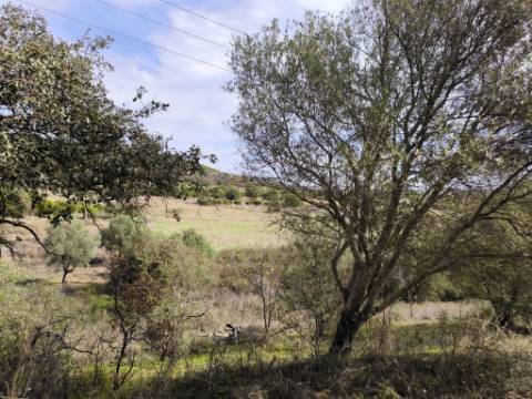 TERRENO RUSTICO COM 680 M2 - COM ARVORES - PLANO - JUNQUEIRA - CASTRO MARIM - ALGARVE