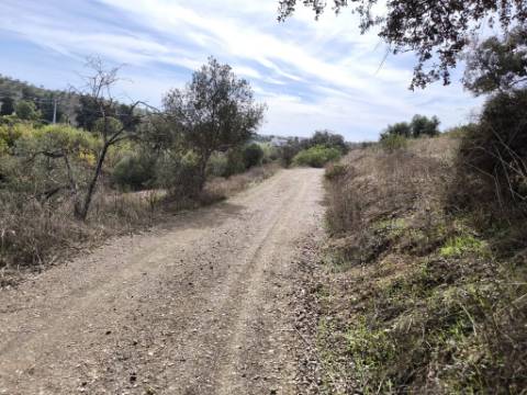 TERRENO RUSTICO COM 680 M2 - COM ARVORES - PLANO - JUNQUEIRA - CASTRO MARIM - ALGARVE