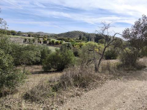 TERRENO RUSTICO COM 680 M2 - COM ARVORES - PLANO - JUNQUEIRA - CASTRO MARIM - ALGARVE