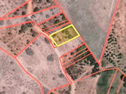 TERRENO RUSTICO COM 680 M2 - COM ARVORES - PLANO - JUNQUEIRA - CASTRO MARIM - ALGARVE