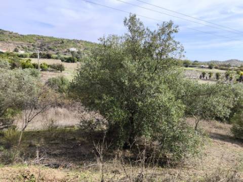 TERRENO RUSTICO COM 680 M2 - COM ARVORES - PLANO - JUNQUEIRA - CASTRO MARIM - ALGARVE