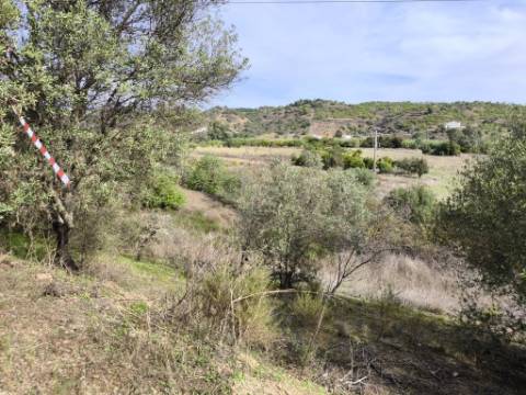 TERRENO RUSTICO COM 680 M2 - COM ARVORES - PLANO - JUNQUEIRA - CASTRO MARIM - ALGARVE