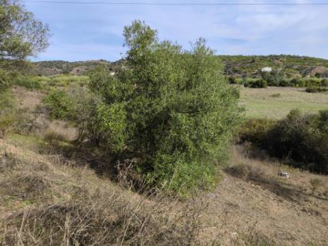 TERRENO RUSTICO COM 680 M2 - COM ARVORES - PLANO - JUNQUEIRA - CASTRO MARIM - ALGARVE