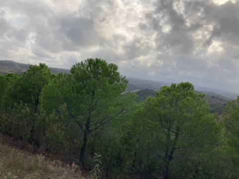TERRENO COM 67.520 M2 - COM POSSIBILIDADE DE CONSTRUÇÃO - TURISMO OU HABITAÇÃO - PROXIMO A ALDEIA DOS CORUJOS EM CASTRO MARIM - ALGARVE