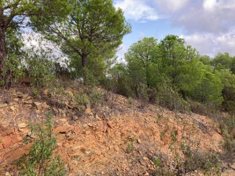 TERRENO COM 67.520 M2 - COM POSSIBILIDADE DE CONSTRUÇÃO - TURISMO OU HABITAÇÃO - PROXIMO A ALDEIA DOS CORUJOS EM CASTRO MARIM - ALGARVE