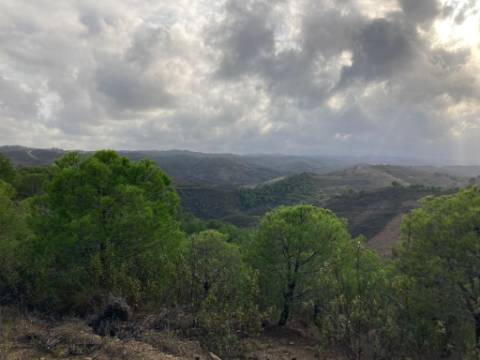 TERRENO COM 67.520 M2 - COM POSSIBILIDADE DE CONSTRUÇÃO - TURISMO OU HABITAÇÃO - PROXIMO A ALDEIA DOS CORUJOS EM CASTRO MARIM - ALGARVE