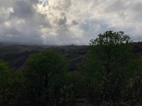 TERRENO COM 67.520 M2 - COM POSSIBILIDADE DE CONSTRUÇÃO - TURISMO OU HABITAÇÃO - PROXIMO A ALDEIA DOS CORUJOS EM CASTRO MARIM - ALGARVE