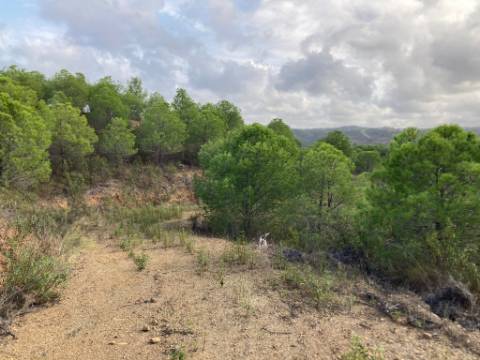 TERRENO COM 67.520 M2 - COM POSSIBILIDADE DE CONSTRUÇÃO - TURISMO OU HABITAÇÃO - PROXIMO A ALDEIA DOS CORUJOS EM CASTRO MARIM - ALGARVE