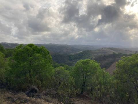 TERRENO COM 67.520 M2 - COM POSSIBILIDADE DE CONSTRUÇÃO - TURISMO OU HABITAÇÃO - PROXIMO A ALDEIA DOS CORUJOS EM CASTRO MARIM - ALGARVE