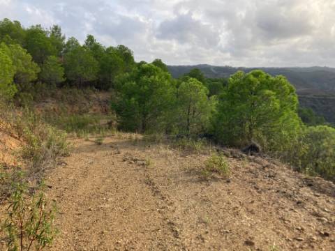 TERRENO COM 67.520 M2 - COM POSSIBILIDADE DE CONSTRUÇÃO - TURISMO OU HABITAÇÃO - PROXIMO A ALDEIA DOS CORUJOS EM CASTRO MARIM - ALGARVE