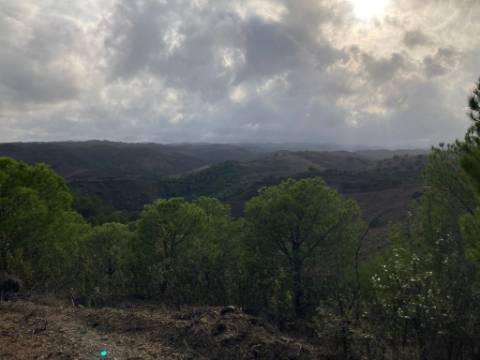 TERRENO COM 67.520 M2 - COM POSSIBILIDADE DE CONSTRUÇÃO - TURISMO OU HABITAÇÃO - PROXIMO A ALDEIA DOS CORUJOS EM CASTRO MARIM - ALGARVE