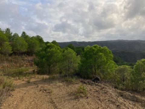 TERRENO COM 67.520 M2 - COM POSSIBILIDADE DE CONSTRUÇÃO - TURISMO OU HABITAÇÃO - PROXIMO A ALDEIA DOS CORUJOS EM CASTRO MARIM - ALGARVE