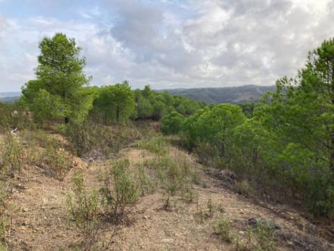 TERRENO COM 67.520 M2 - COM POSSIBILIDADE DE CONSTRUÇÃO - TURISMO OU HABITAÇÃO - PROXIMO A ALDEIA DOS CORUJOS EM CASTRO MARIM - ALGARVE