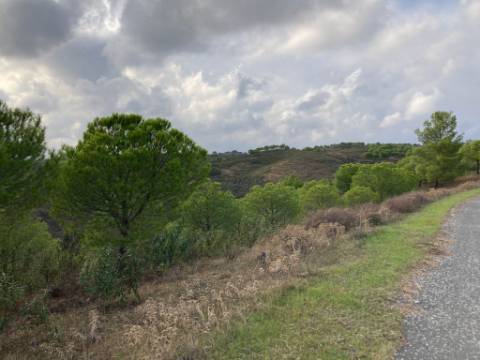 TERRENO COM 67.520 M2 - COM POSSIBILIDADE DE CONSTRUÇÃO - TURISMO OU HABITAÇÃO - PROXIMO A ALDEIA DOS CORUJOS EM CASTRO MARIM - ALGARVE
