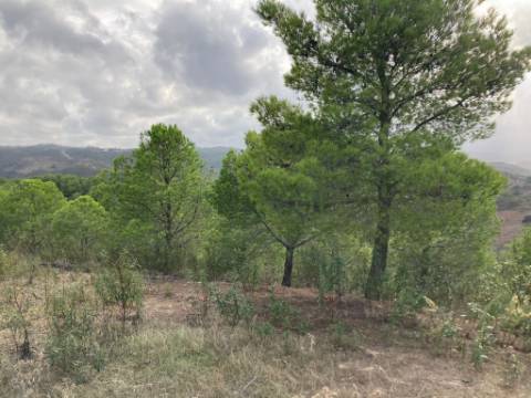 TERRENO COM 67.520 M2 - COM POSSIBILIDADE DE CONSTRUÇÃO - TURISMO OU HABITAÇÃO - PROXIMO A ALDEIA DOS CORUJOS EM CASTRO MARIM - ALGARVE