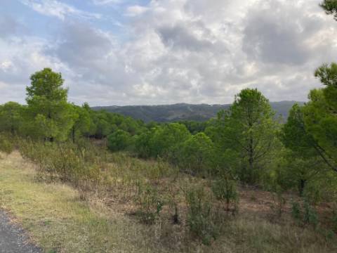 TERRENO COM 67.520 M2 - COM POSSIBILIDADE DE CONSTRUÇÃO - TURISMO OU HABITAÇÃO - PROXIMO A ALDEIA DOS CORUJOS EM CASTRO MARIM - ALGARVE
