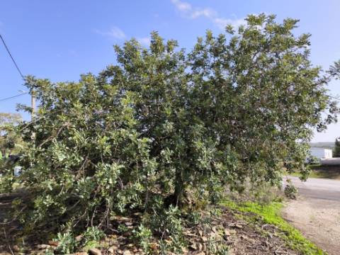 MORADIA DE ALDEIA - EM RUINAS - PARA DEMOLIR OU RECONSTRUIR - COM TERRENO DE 143 M2 - MONTE DOS MATOS - CASTRO MARIM - ALGARVE