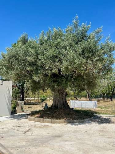 Moradia V2 para arrendamentos de Inverno situada no campo