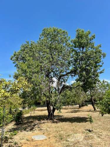 Moradia V2 para arrendamentos de Inverno situada no campo