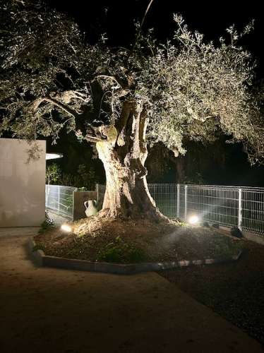 Moradia V2 para arrendamentos de Inverno situada no campo