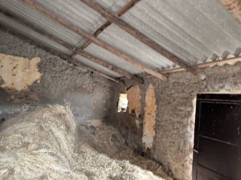 PROPRIEDADE COMPOSTA POR DUAS RUÍNAS - ÁREA TOTAL DE 249 M2 - VISTA MAR EM VALE DE EBROS - TAVIRA