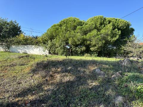 Terreno em espaço urbanizável com 960 m2, mediante autorização Camarária!