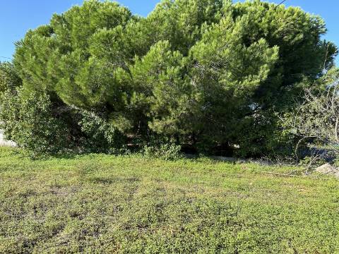 Terreno em espaço urbanizável com 960 m2, mediante autorização Camarária!