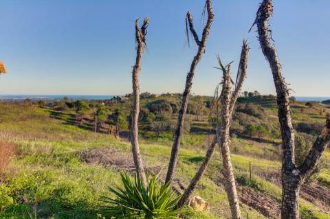 Moradia isolada T3 com espetacular vista de campo e vista mar