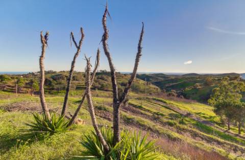 Moradia isolada T3 com espetacular vista de campo e vista mar