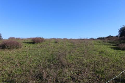 Terreno industrial para arrendamento