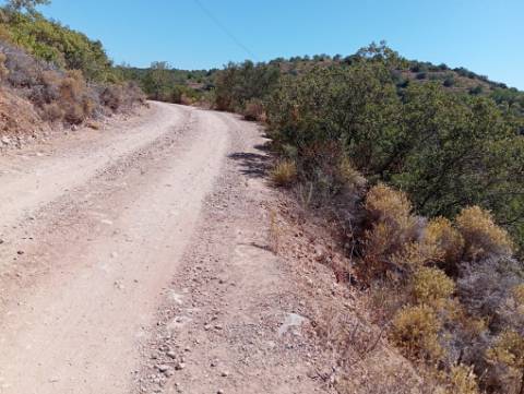 Terreno Rústico em Santa Catarina da Fonte do Bispo
