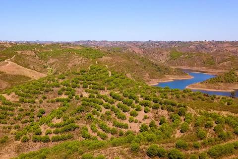 TERRENO COM 20 HECTARES - JUNTO AO LAGO - POSSIBILIDADE DE CONSTRUÇÃO - TURISMO - CORTE DO GAGO - CASTRO MARIM - ALGARVE