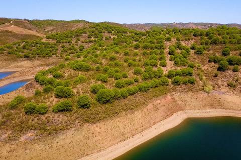 TERRENO COM 20 HECTARES - JUNTO AO LAGO - POSSIBILIDADE DE CONSTRUÇÃO - TURISMO - CORTE DO GAGO - CASTRO MARIM - ALGARVE