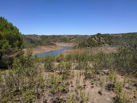 TERRENO COM 20 HECTARES - JUNTO AO LAGO - POSSIBILIDADE DE CONSTRUÇÃO - TURISMO - CORTE DO GAGO - CASTRO MARIM - ALGARVE