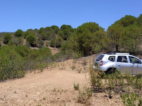 TERRENO COM 20 HECTARES - JUNTO AO LAGO - POSSIBILIDADE DE CONSTRUÇÃO - TURISMO - CORTE DO GAGO - CASTRO MARIM - ALGARVE