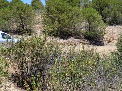 TERRENO COM 20 HECTARES - JUNTO AO LAGO - POSSIBILIDADE DE CONSTRUÇÃO - TURISMO - CORTE DO GAGO - CASTRO MARIM - ALGARVE