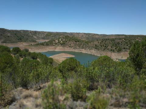 TERRENO COM 20 HECTARES - JUNTO AO LAGO - POSSIBILIDADE DE CONSTRUÇÃO - TURISMO - CORTE DO GAGO - CASTRO MARIM - ALGARVE