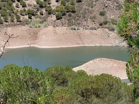 TERRENO COM 20 HECTARES - JUNTO AO LAGO - POSSIBILIDADE DE CONSTRUÇÃO - TURISMO - CORTE DO GAGO - CASTRO MARIM - ALGARVE