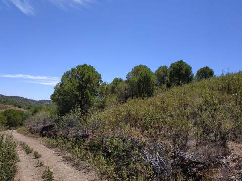 TERRENO COM 20 HECTARES - JUNTO AO LAGO - POSSIBILIDADE DE CONSTRUÇÃO - TURISMO - CORTE DO GAGO - CASTRO MARIM - ALGARVE