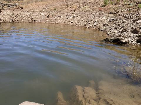 TERRENO COM 20 HECTARES - JUNTO AO LAGO - POSSIBILIDADE DE CONSTRUÇÃO - TURISMO - CORTE DO GAGO - CASTRO MARIM - ALGARVE