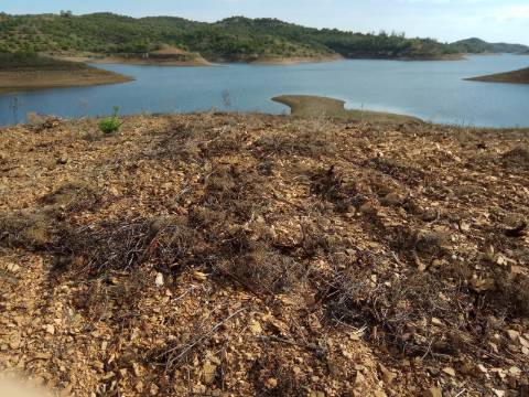TERRENO COM 20 HECTARES - JUNTO AO LAGO - POSSIBILIDADE DE CONSTRUÇÃO - TURISMO - CORTE DO GAGO - CASTRO MARIM - ALGARVE