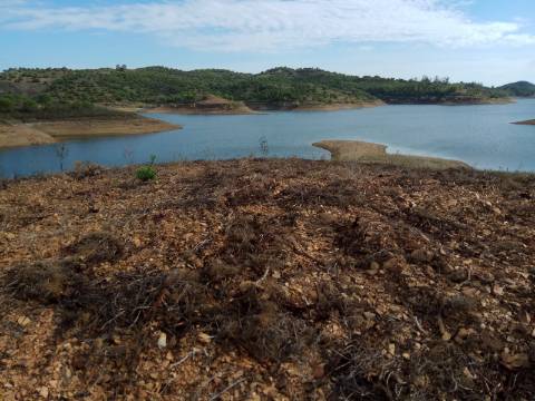 TERRENO COM 20 HECTARES - JUNTO AO LAGO - POSSIBILIDADE DE CONSTRUÇÃO - TURISMO - CORTE DO GAGO - CASTRO MARIM - ALGARVE
